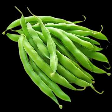 Vegetable Name in english and Hindi